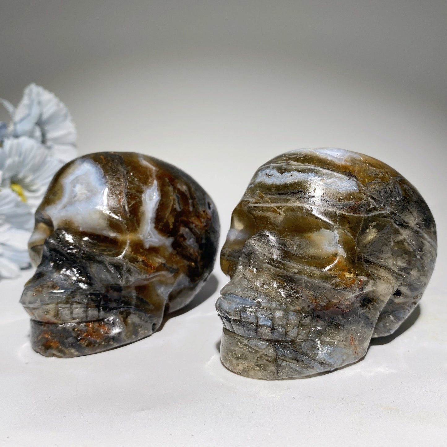 3.3" Moss Agate Grow with Fluorite Skull Carvings Bulk Wholesale