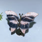Crystal Butterfly with Fixed Metal Stand Crystal Healing Bulk Wholesale
