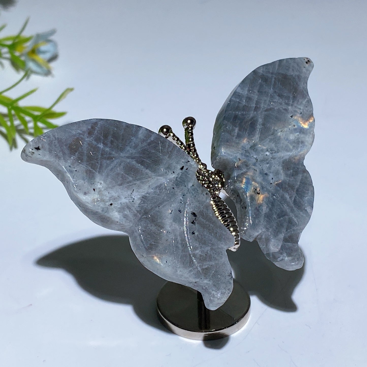 Crystal Butterfly with Fixed Metal Stand Crystal Healing Bulk Wholesale