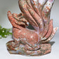 30cm Large Unique Ocean Jasper Nine-tails Fox Carving with Wooden Stand Crystal Healing Bulk Wholesale