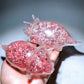 Crystal Chips Infused Squishy Toy Stress Relief Toy Wholesale
