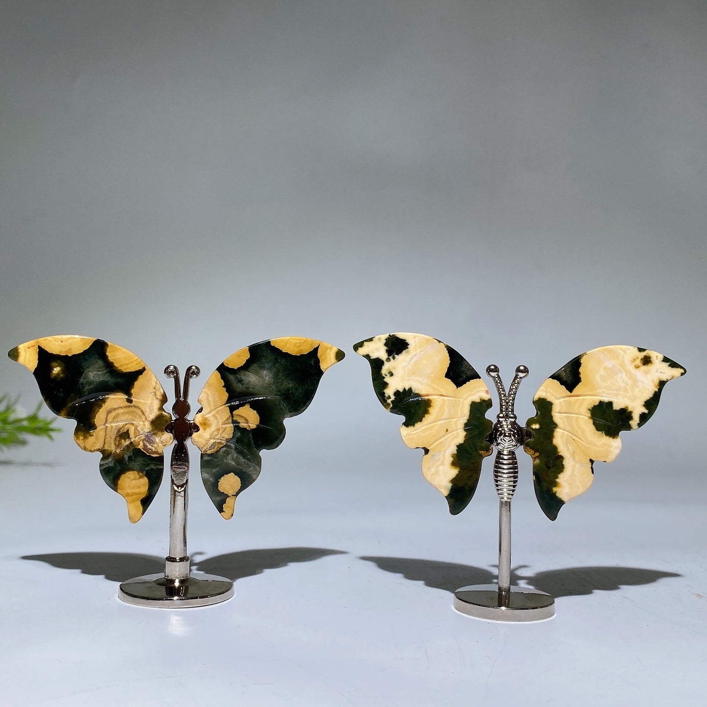 Ocean Jasper Butterfly Wings Carving with Stand Crystal Healing Bulk Wholesale