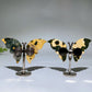Ocean Jasper Butterfly Wings Carving with Stand Crystal Healing Bulk Wholesale