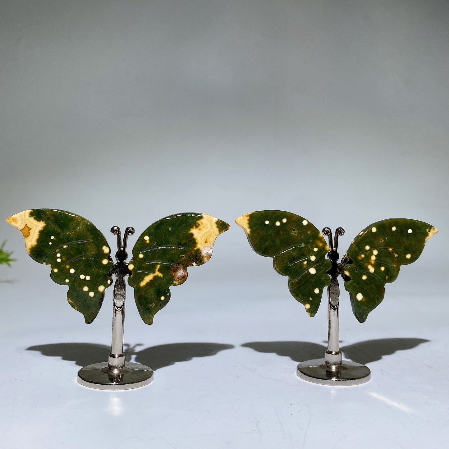 Ocean Jasper Butterfly Wings Carving with Stand Crystal Healing Bulk Wholesale