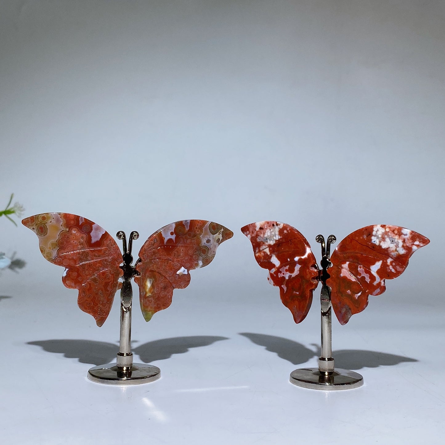 Ocean Jasper Butterfly Wings Carving with Stand Crystal Healing Bulk Wholesale