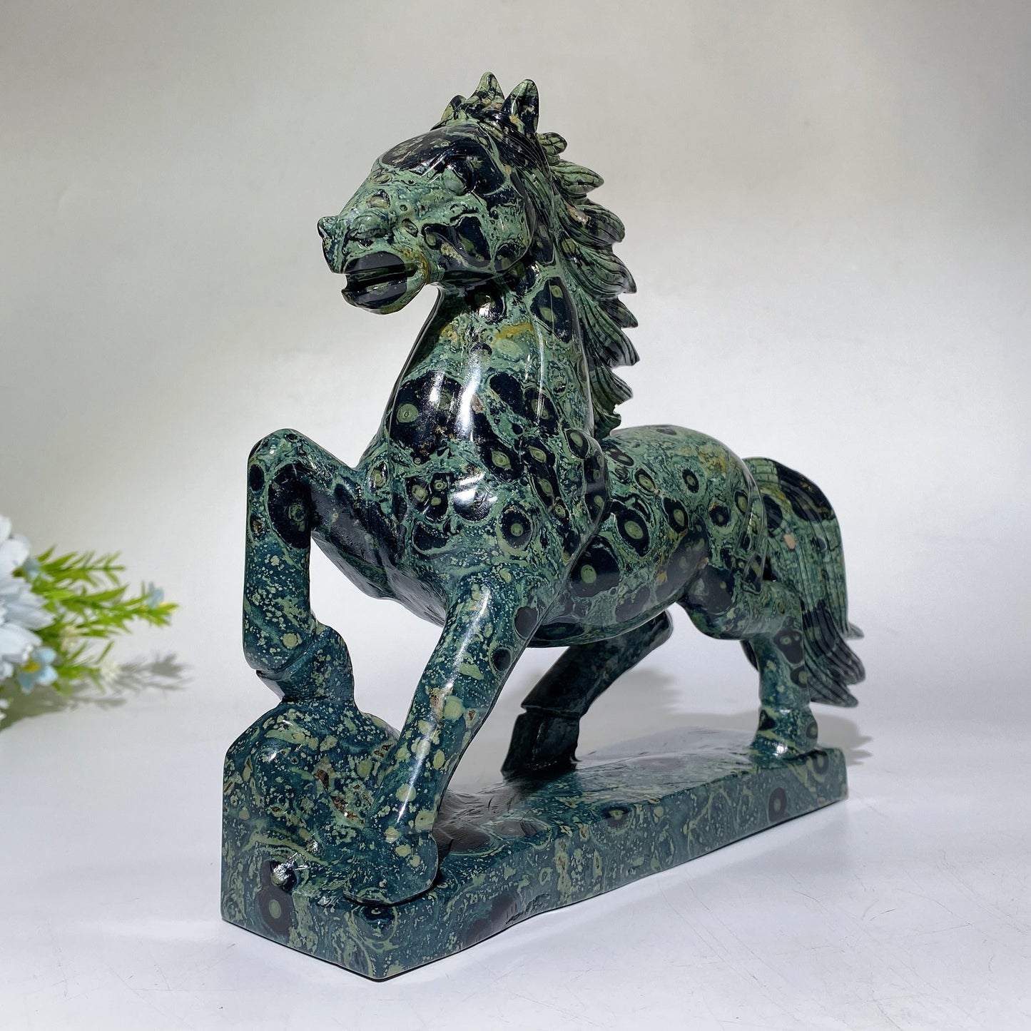 22cm Large Unqiue Kambaba Horse Carving Crystal Healing Bulk Wholesale