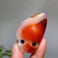1.4"-2.0" Sardonyx Groot Head Crystal Healing Bulk Wholesale