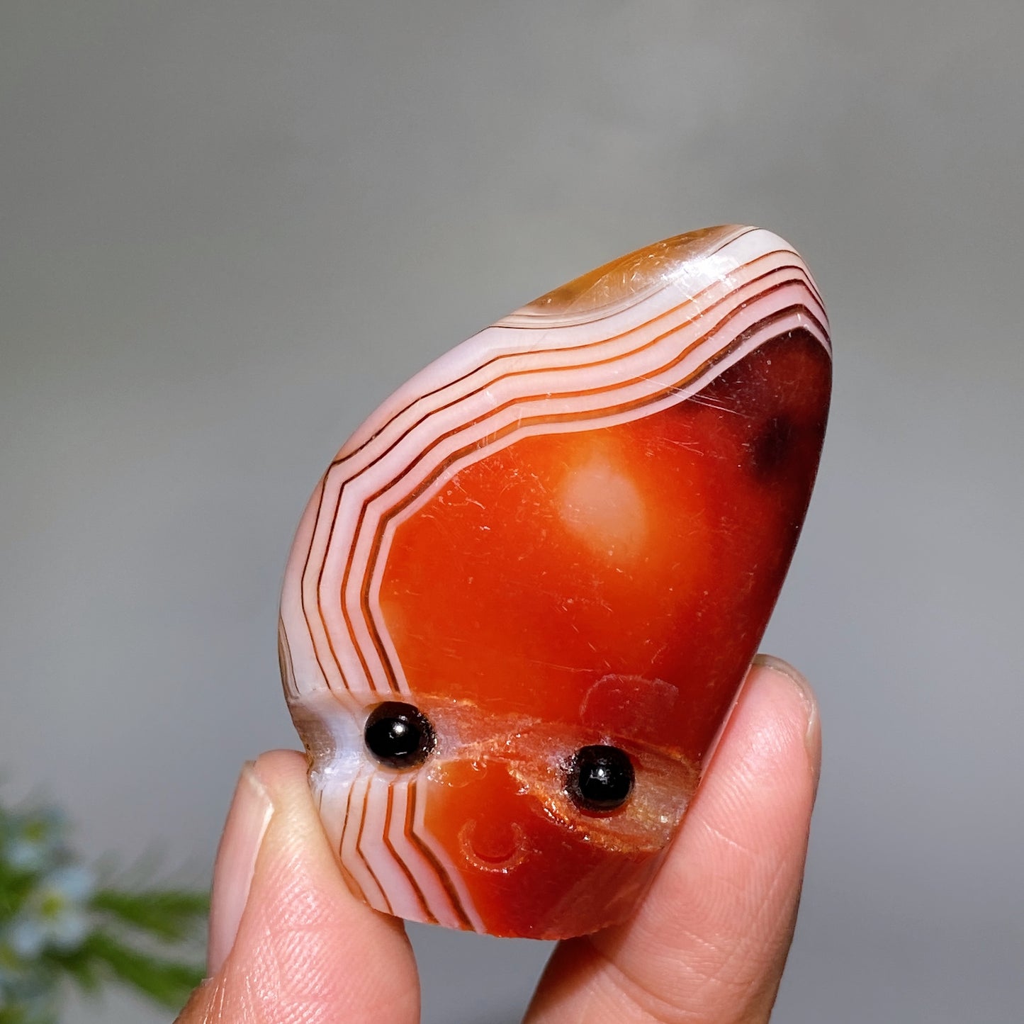 1.4"-2.0" Sardonyx Groot Head Crystal Healing Bulk Wholesale