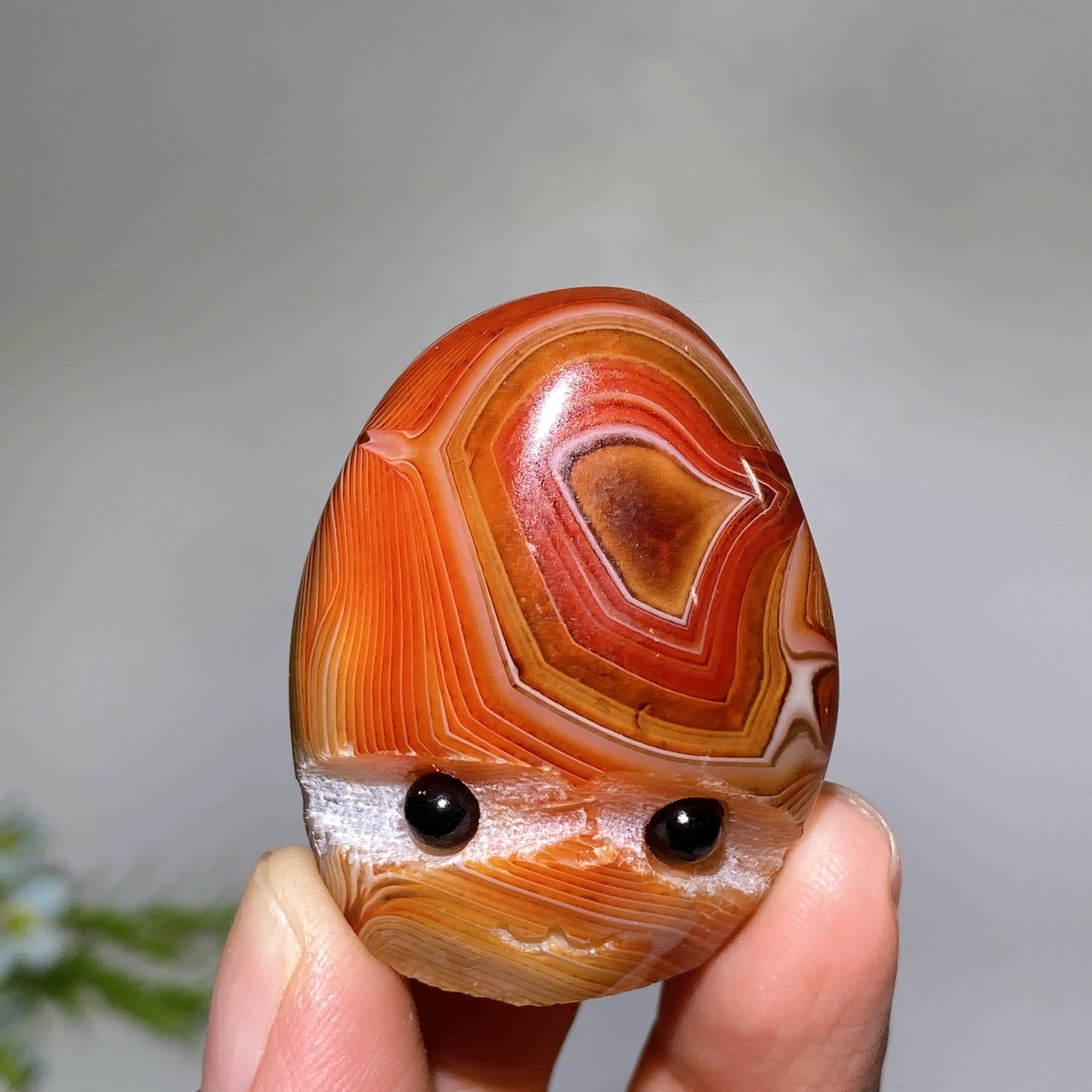 1.4"-2.0" Sardonyx Groot Head Crystal Healing Bulk Wholesale
