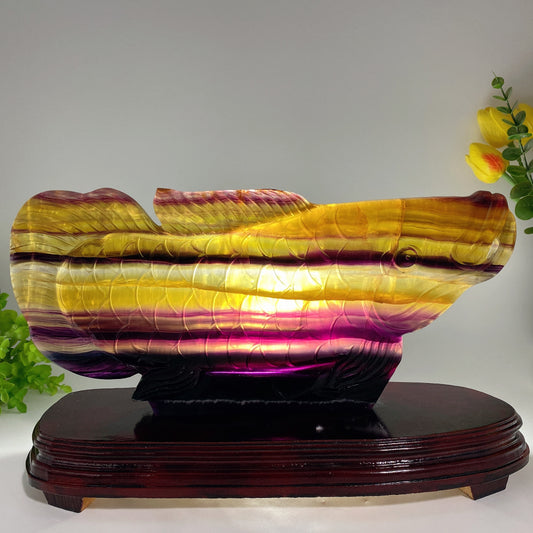 Large Unique Yellow Fluorite Arowana Carving with Stand