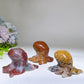 2.1"-2.4" Ocean Jasper Octopus Carving Crystal Healing Bulk Wholesale