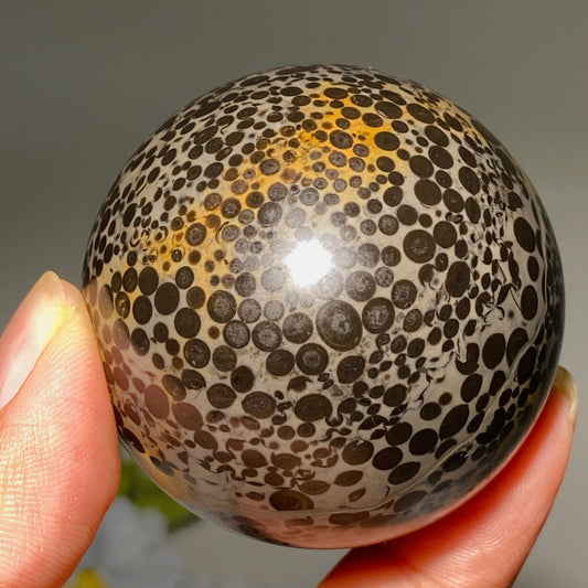 1.9"-2.0" Oolitic Jasper Sphere Bulk Wholesale