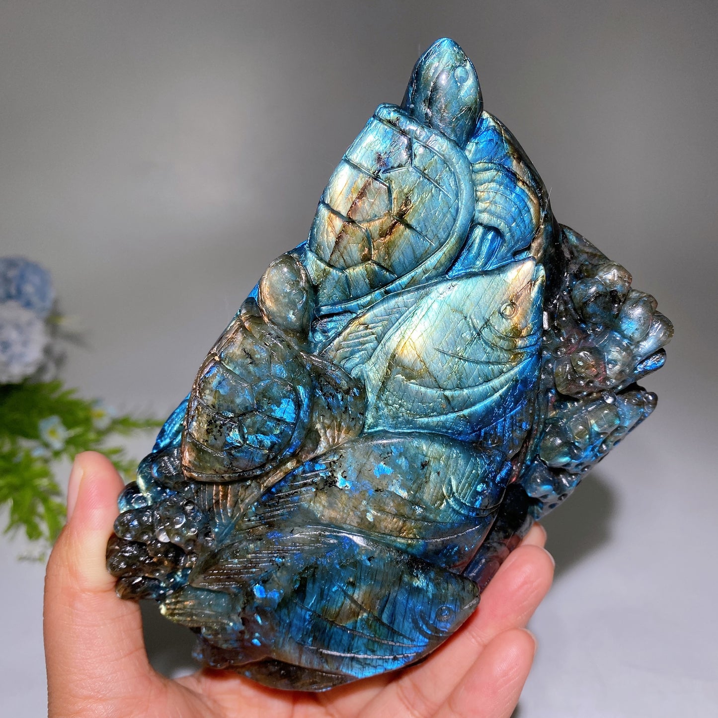 Unique Labradorite Ocean Coral Fish Carving Crystal Healing Bulk Wholesale