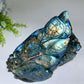 Unique Labradorite Ocean Coral Fish Carving Crystal Healing Bulk Wholesale