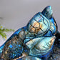 Unique Labradorite Ocean Coral Fish Carving Crystal Healing Bulk Wholesale