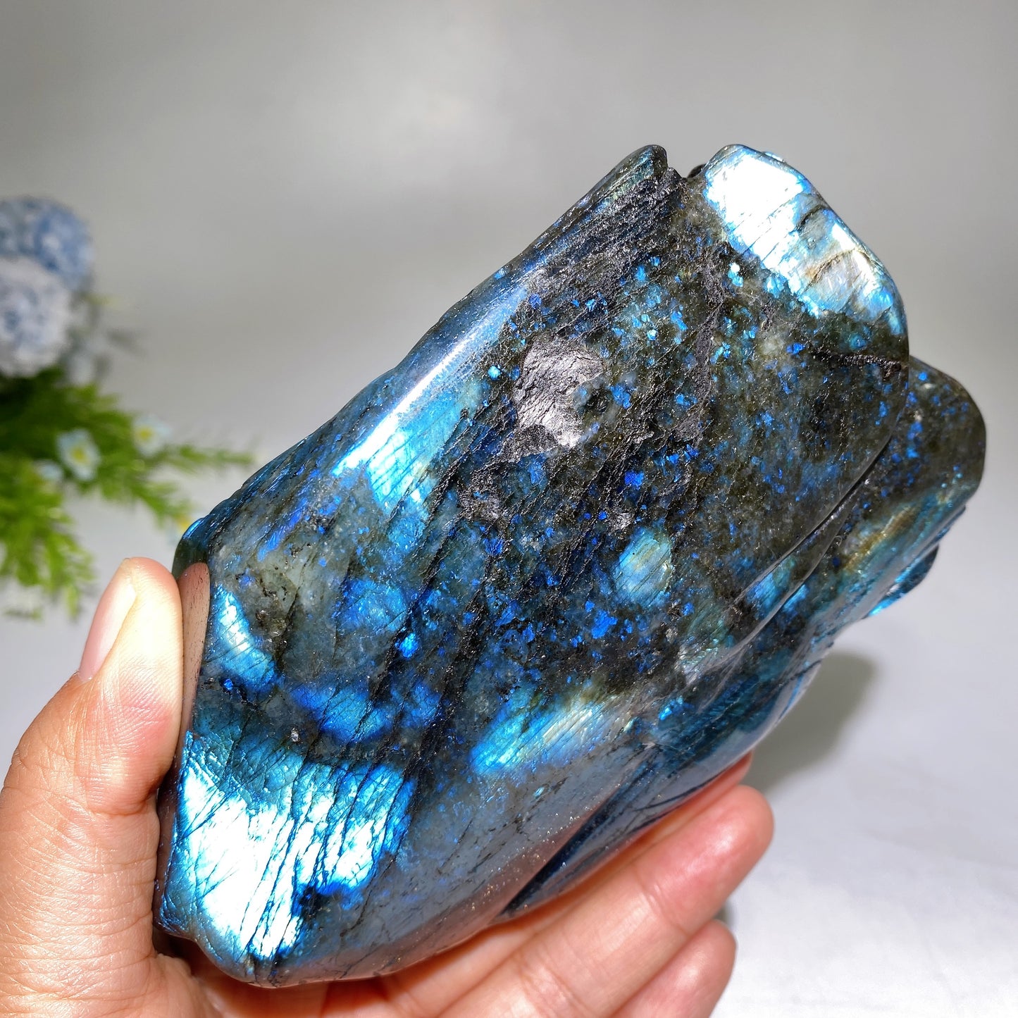Unique Labradorite Ocean Coral Fish Carving Crystal Healing Bulk Wholesale