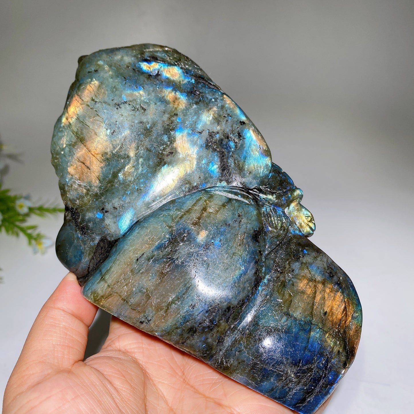 Unique Labradorite Ocean Coral Fish Carving Crystal Healing Bulk Wholesale