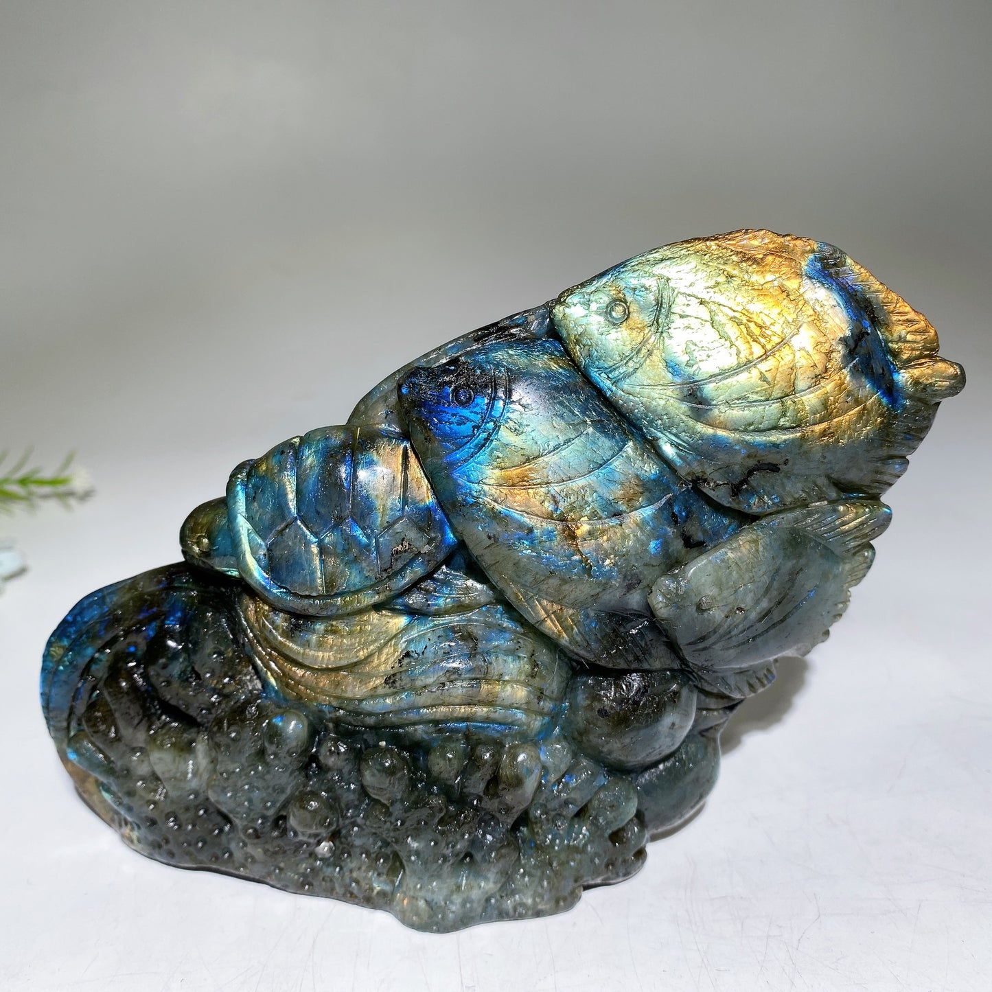 Unique Labradorite Ocean Coral Fish Carving Crystal Healing Bulk Wholesale