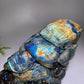 Unique Labradorite Ocean Coral Fish Carving Crystal Healing Bulk Wholesale