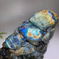 Unique Labradorite Ocean Coral Fish Carving Crystal Healing Bulk Wholesale