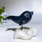 2.9" Crystal Dolphin Carving with Jade Base Crystal Healing Bulk Wholesale