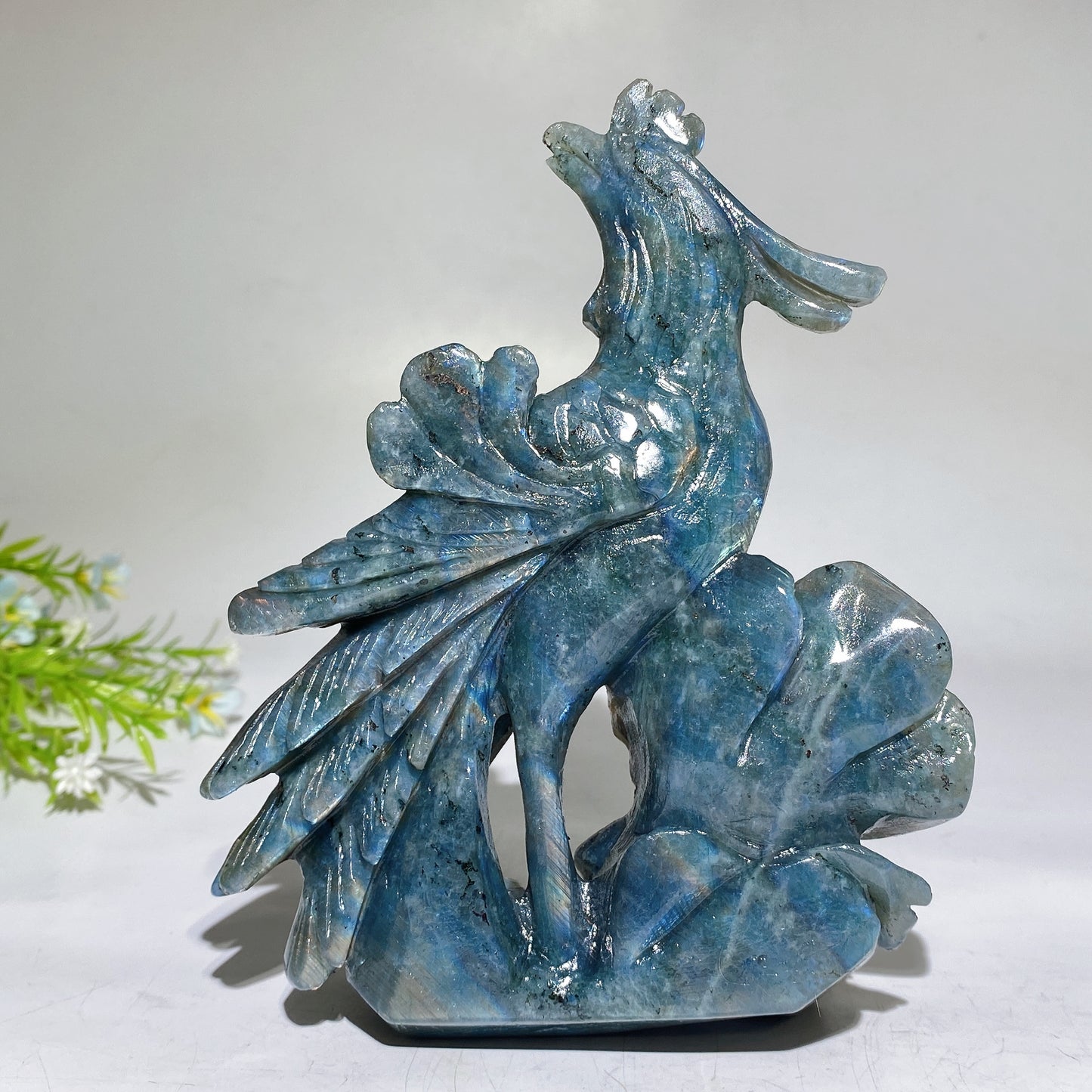 16cm Unique Labradorite Phoenix Carving Crystal Healing Bulk Wholesale
