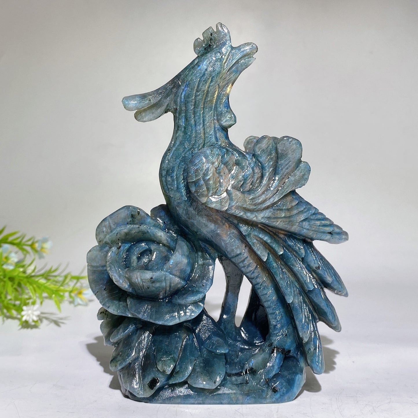 16cm Unique Labradorite Phoenix Carving Crystal Healing Bulk Wholesale