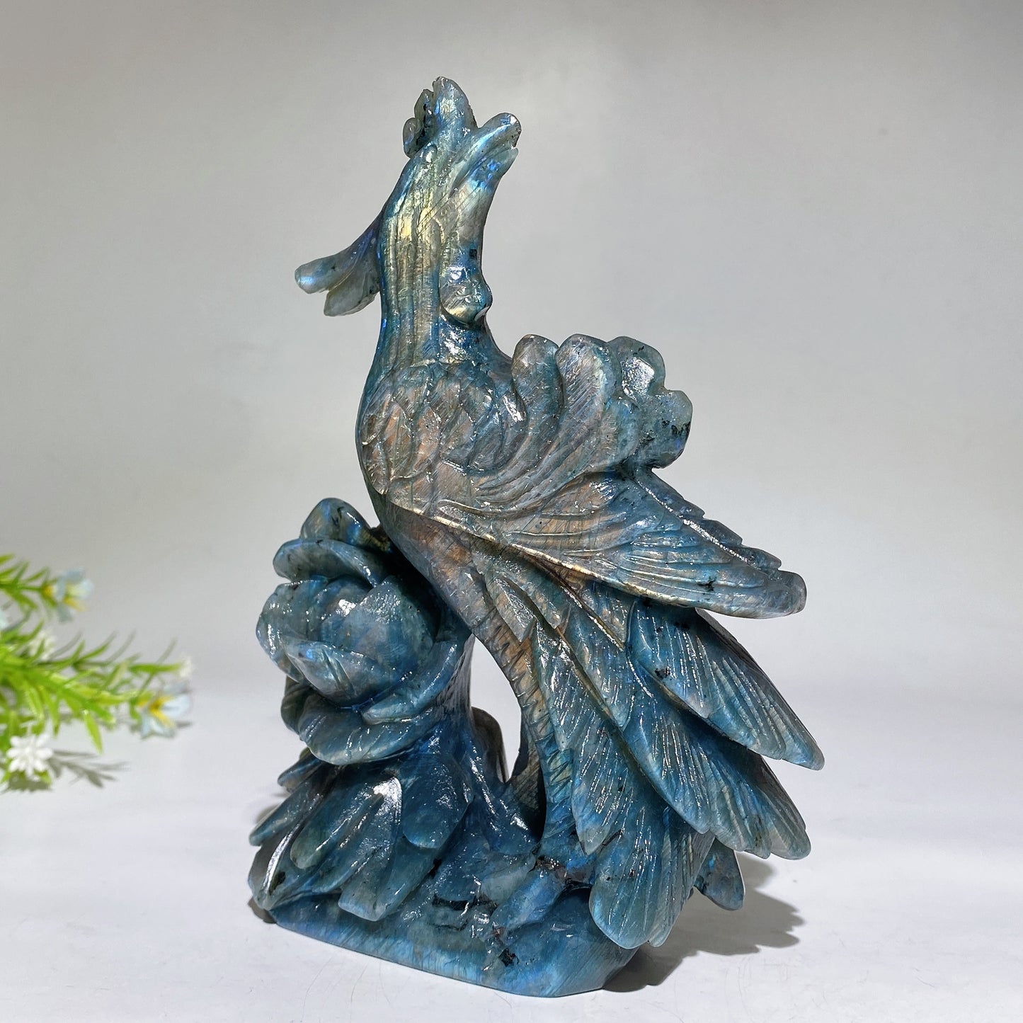 16cm Unique Labradorite Phoenix Carving Crystal Healing Bulk Wholesale