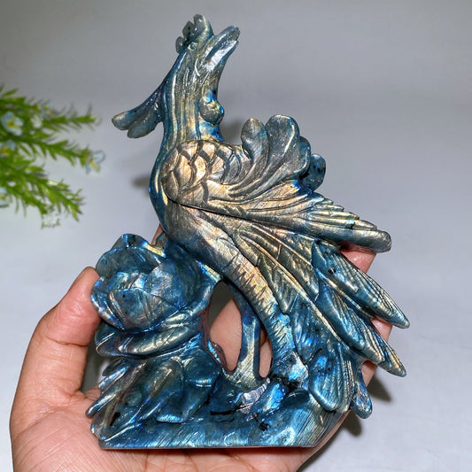16cm Unique Labradorite Phoenix Carving Crystal Healing Bulk Wholesale