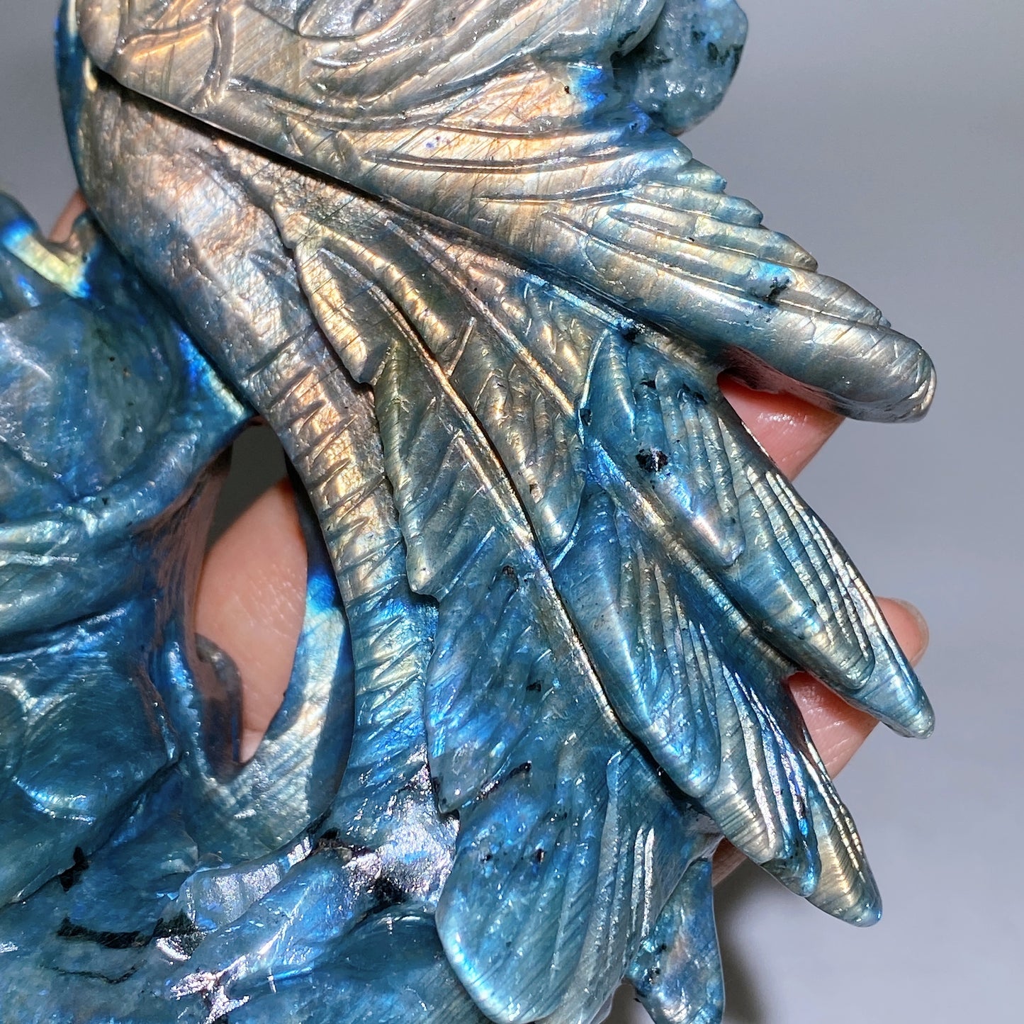 16cm Unique Labradorite Phoenix Carving Crystal Healing Bulk Wholesale