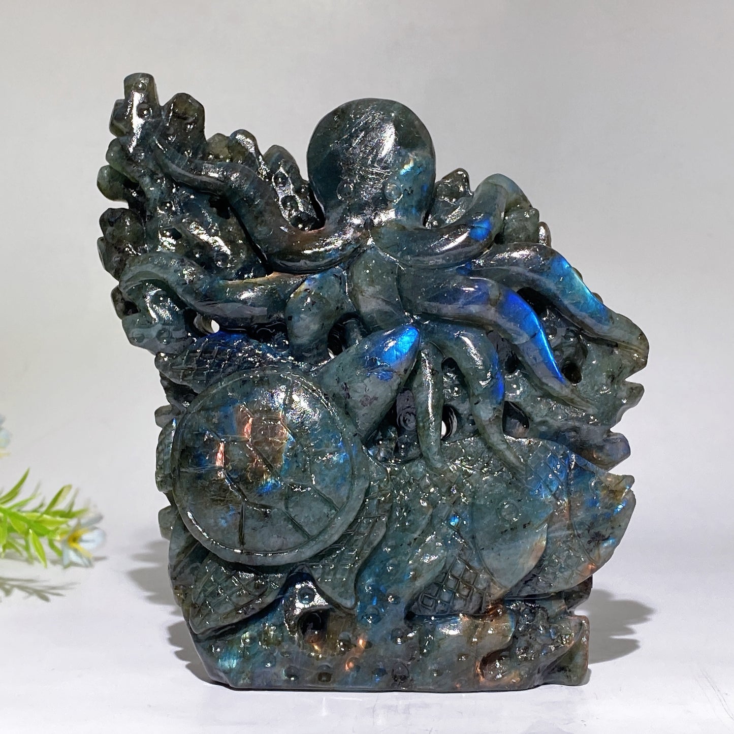 14cm Unique Labradorite Ocean World Fish Turtle Octopus Carving Crystal Healing Bulk Wholesale