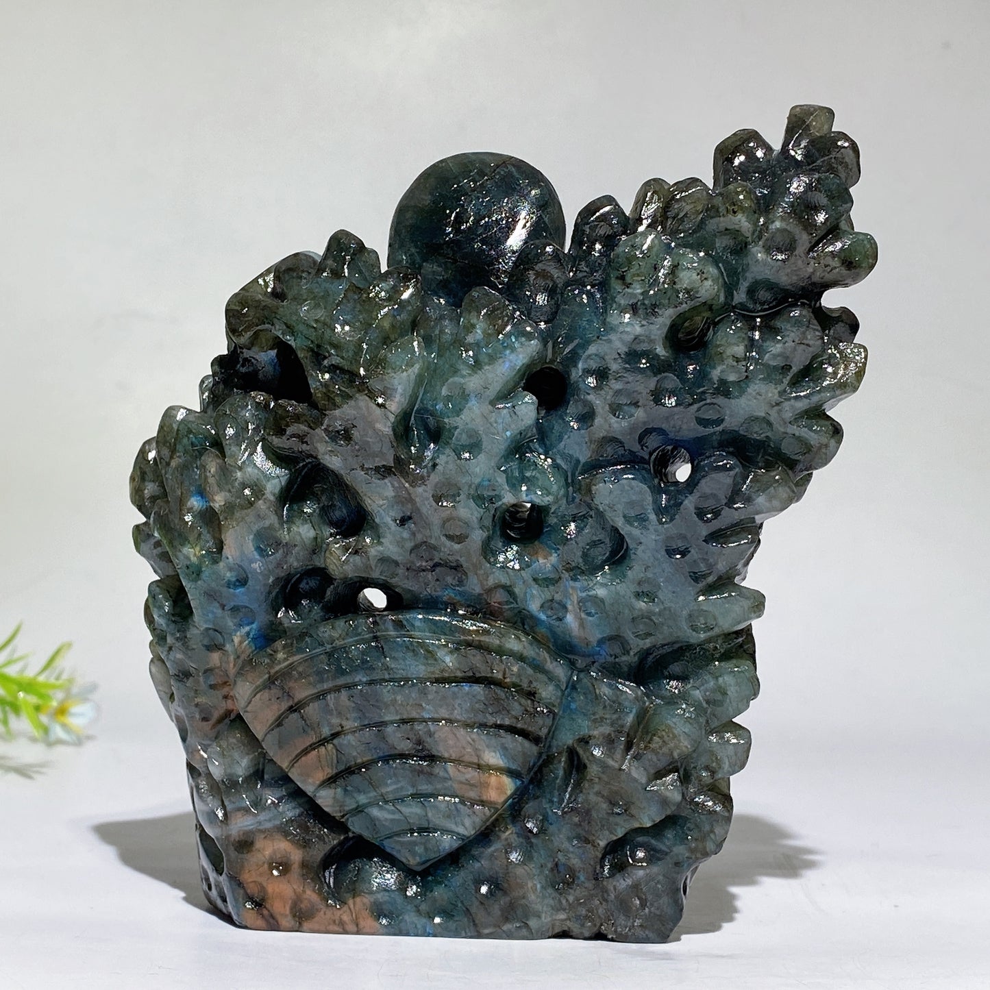 14cm Unique Labradorite Ocean World Fish Turtle Octopus Carving Crystal Healing Bulk Wholesale