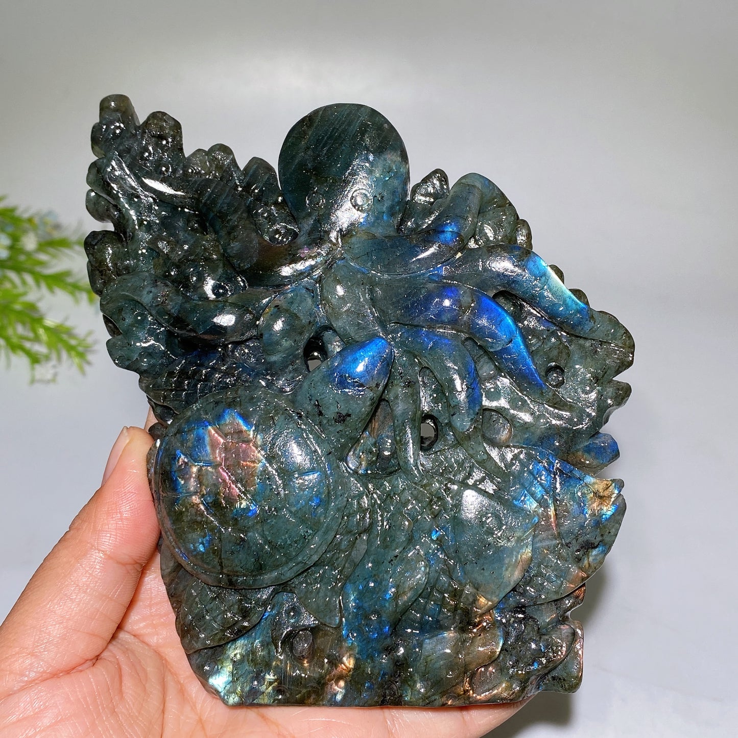 14cm Unique Labradorite Ocean World Fish Turtle Octopus Carving Crystal Healing Bulk Wholesale