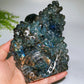14cm Unique Labradorite Ocean World Fish Turtle Octopus Carving Crystal Healing Bulk Wholesale