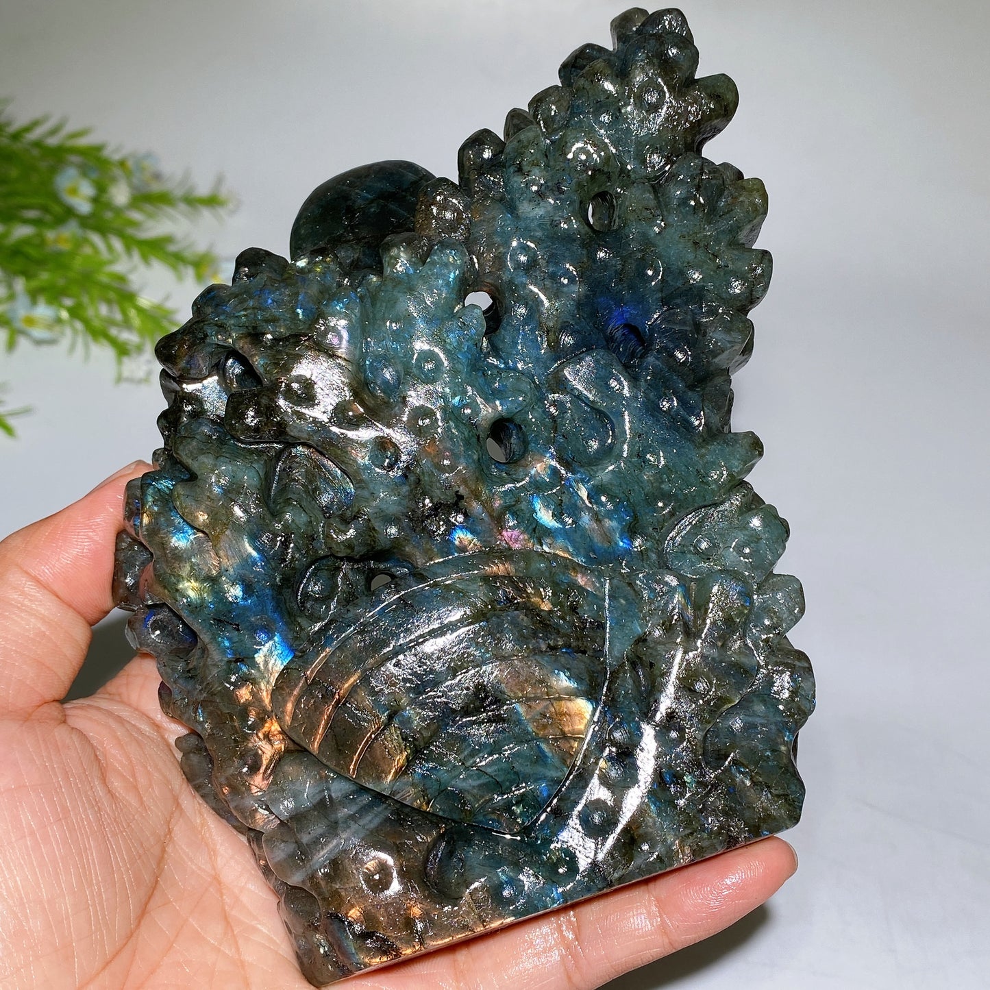 14cm Unique Labradorite Ocean World Fish Turtle Octopus Carving Crystal Healing Bulk Wholesale