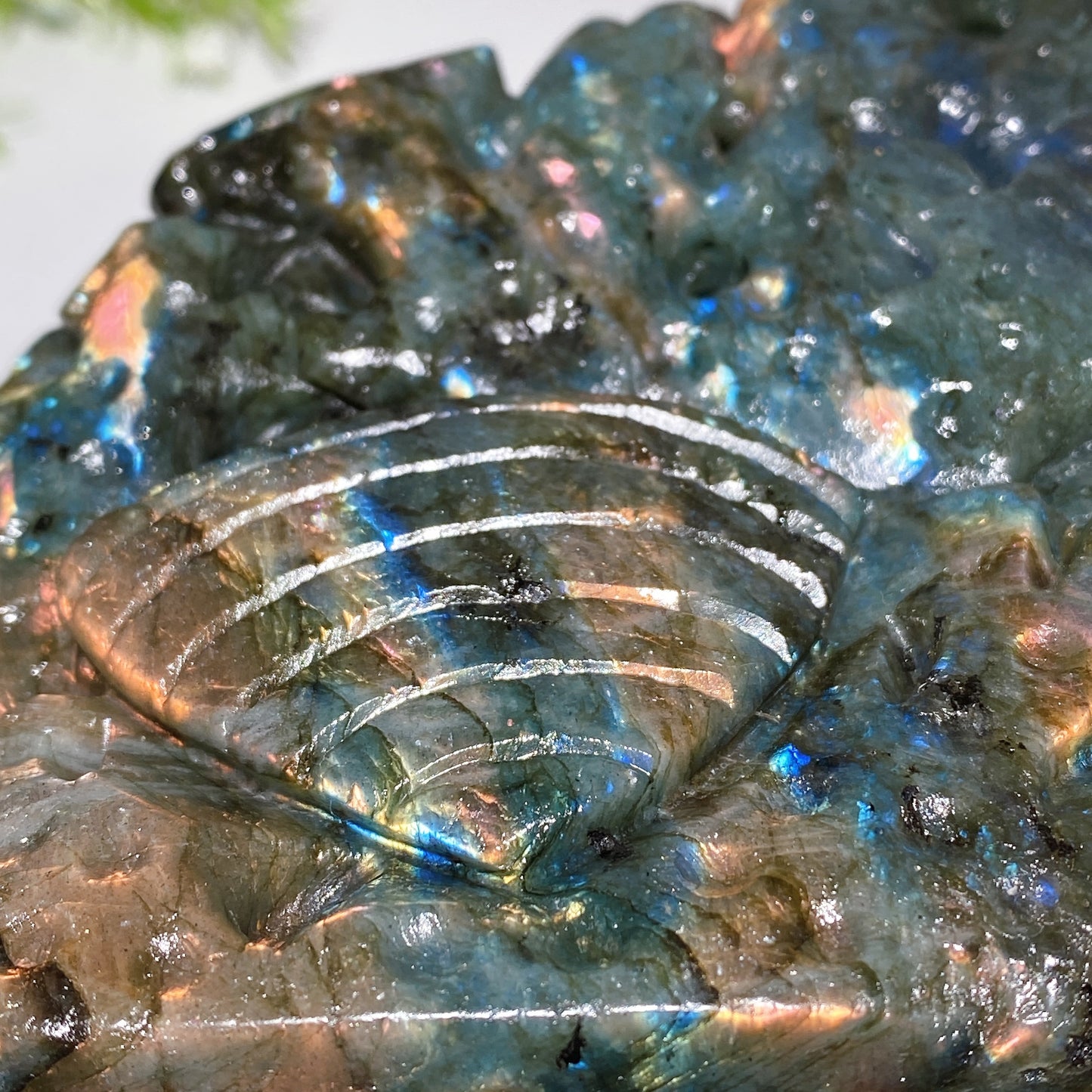 14cm Unique Labradorite Ocean World Fish Turtle Octopus Carving Crystal Healing Bulk Wholesale