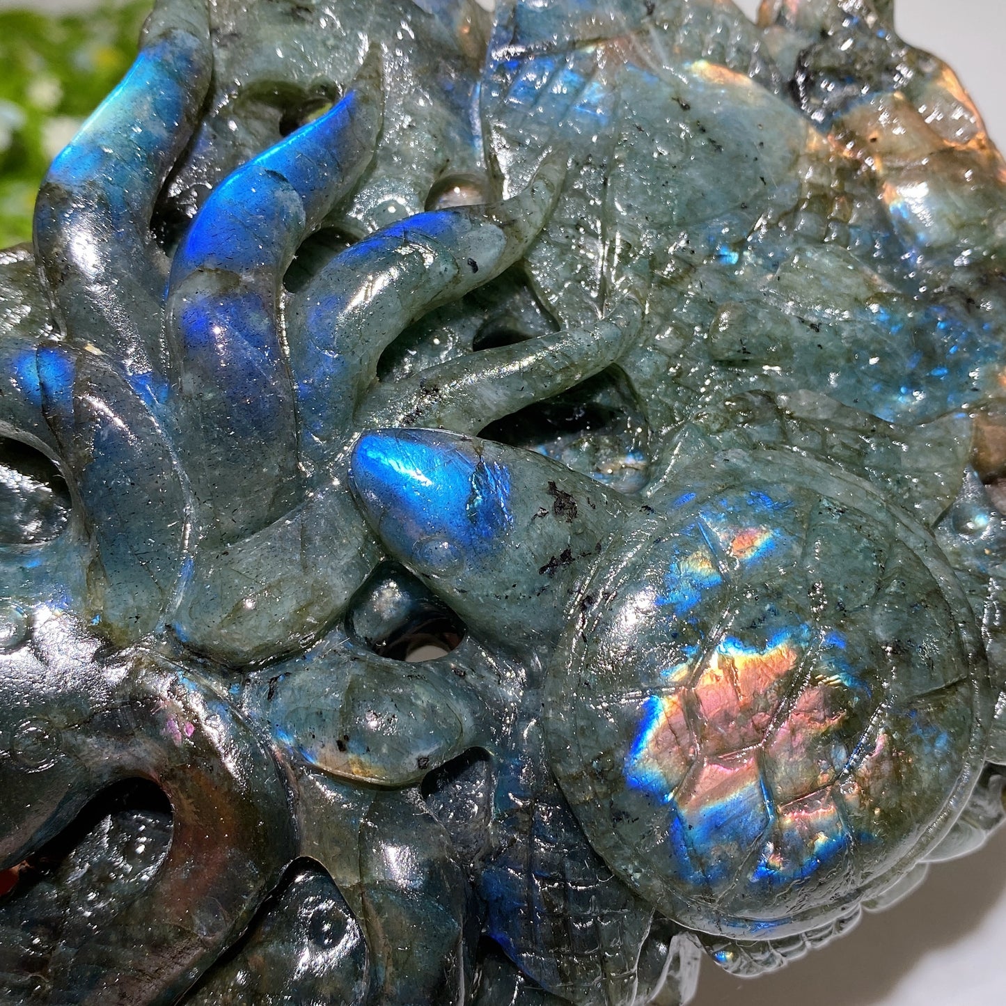 14cm Unique Labradorite Ocean World Fish Turtle Octopus Carving Crystal Healing Bulk Wholesale