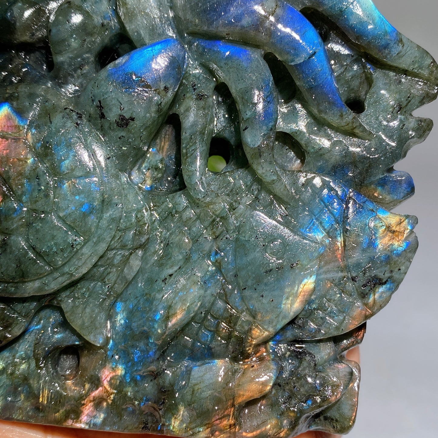 14cm Unique Labradorite Ocean World Fish Turtle Octopus Carving Crystal Healing Bulk Wholesale