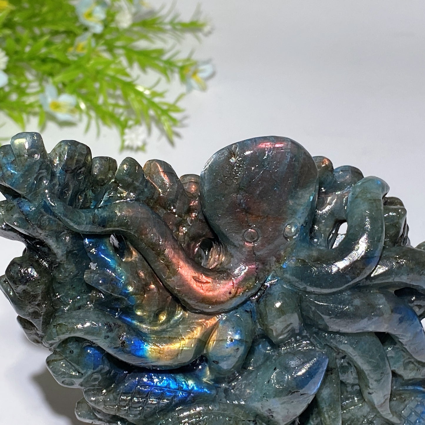 14cm Unique Labradorite Ocean World Fish Turtle Octopus Carving Crystal Healing Bulk Wholesale