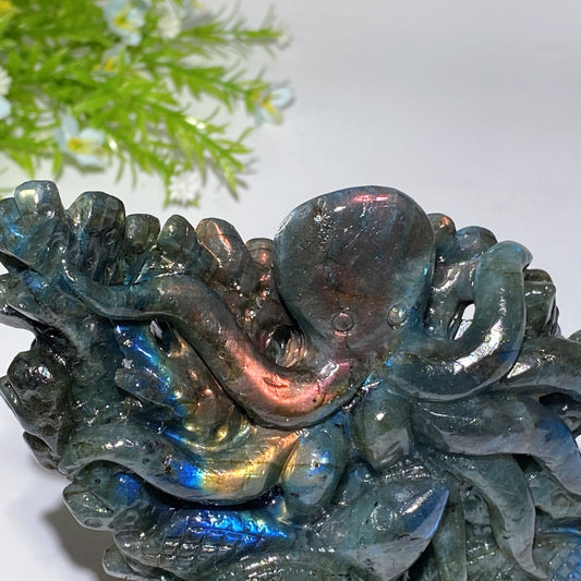 14cm Unique Labradorite Ocean World Fish Turtle Octopus Carving Crystal Healing Bulk Wholesale