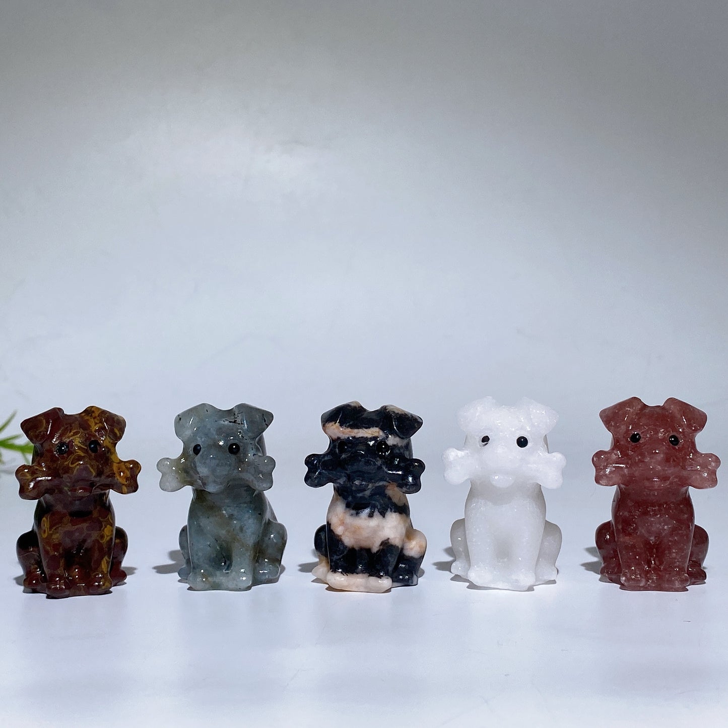 4cm Crystal Dog with Bone Carving Crystal Healing Bulk Wholesale