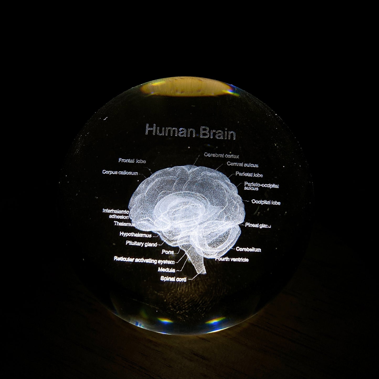 6cm 3D Inner Carving Glass Sphere Crystal Healing Bulk Wholesale