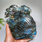 15cm Unique Hand Carved Labradorite Ocean World Shell Octopus Fish Coral Carving Crystal Healing Bulk Wholesale