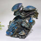 15cm Unique Hand Carved Labradorite Ocean World Shell Octopus Fish Coral Carving Crystal Healing Bulk Wholesale