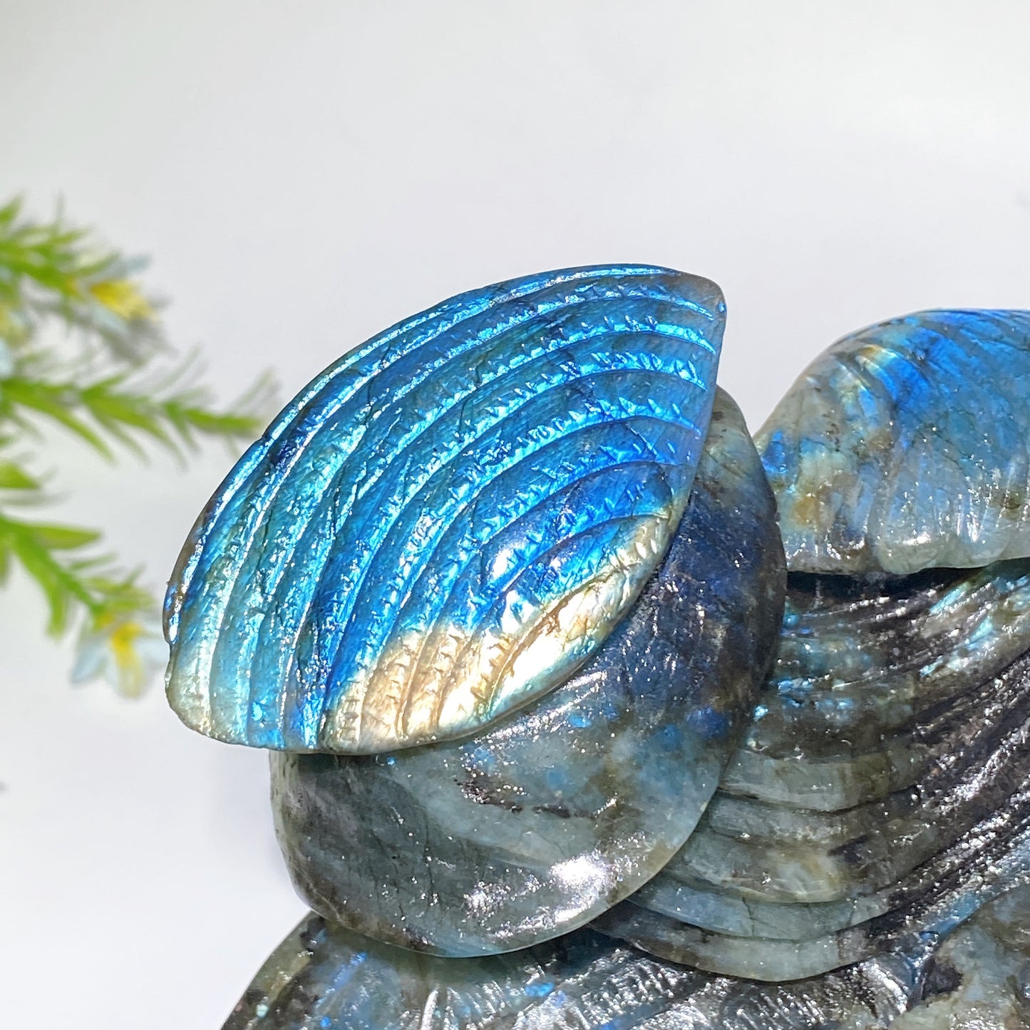 15cm Unique Hand Carved Labradorite Ocean World Shell Octopus Fish Coral Carving Crystal Healing Bulk Wholesale