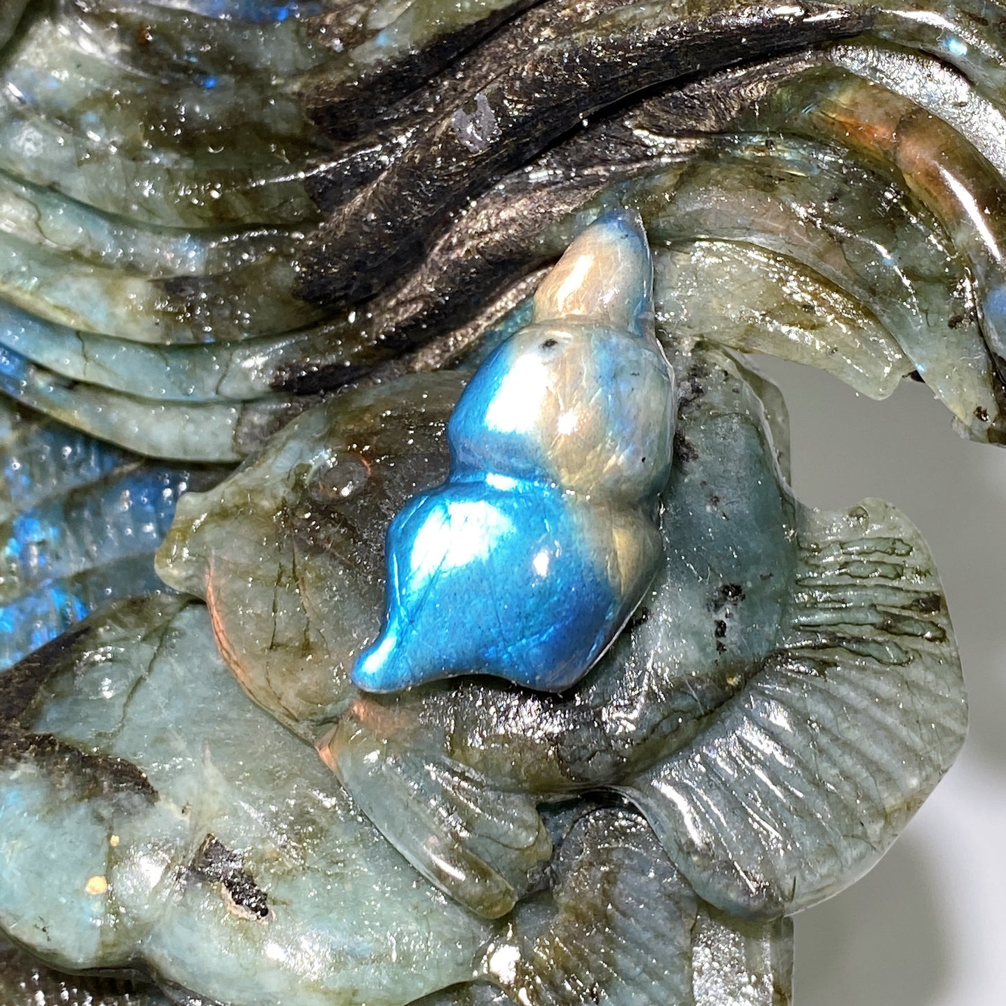 15cm Unique Hand Carved Labradorite Ocean World Shell Octopus Fish Coral Carving Crystal Healing Bulk Wholesale