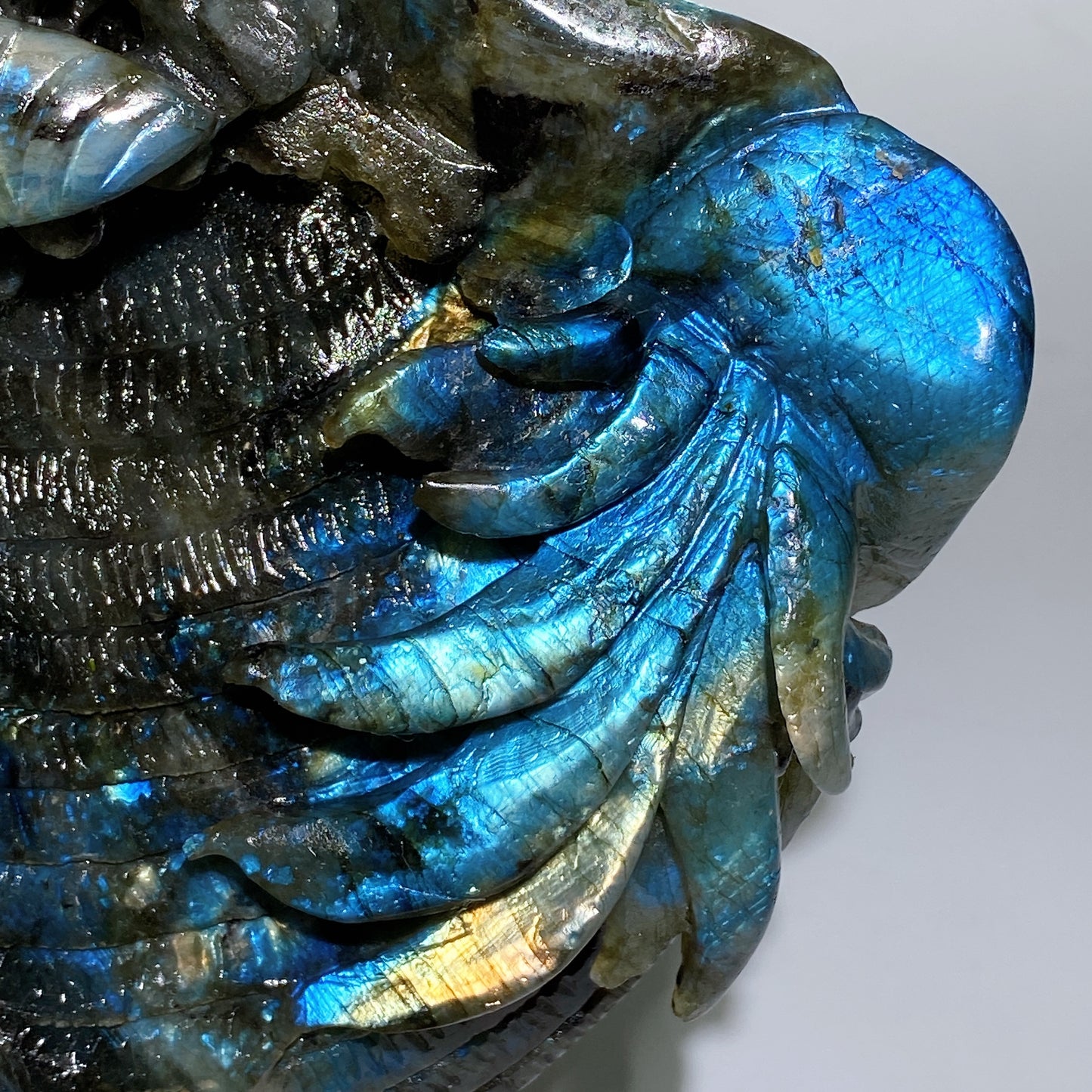 15cm Unique Hand Carved Labradorite Ocean World Shell Octopus Fish Coral Carving Crystal Healing Bulk Wholesale