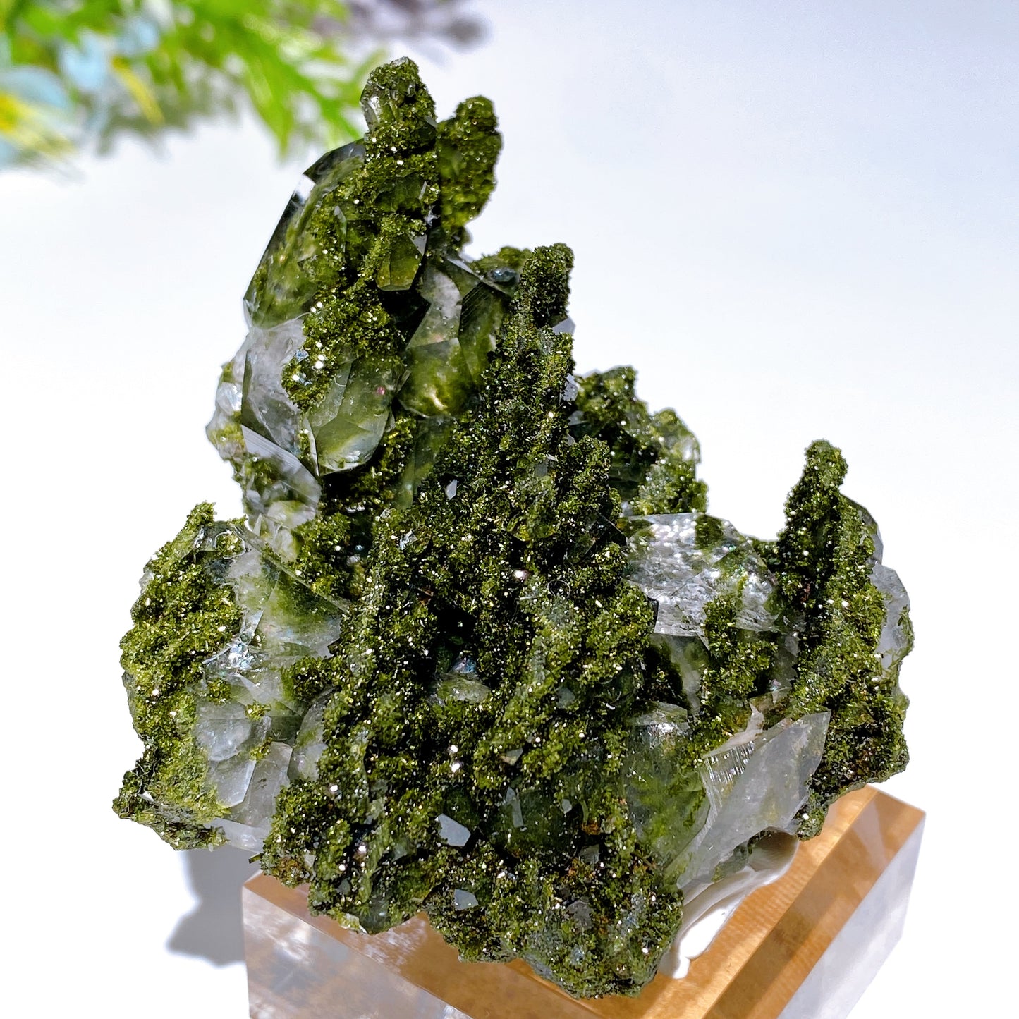 Forest Epidote with Quartz Specimen Crystal Healing Bulk Wholesale