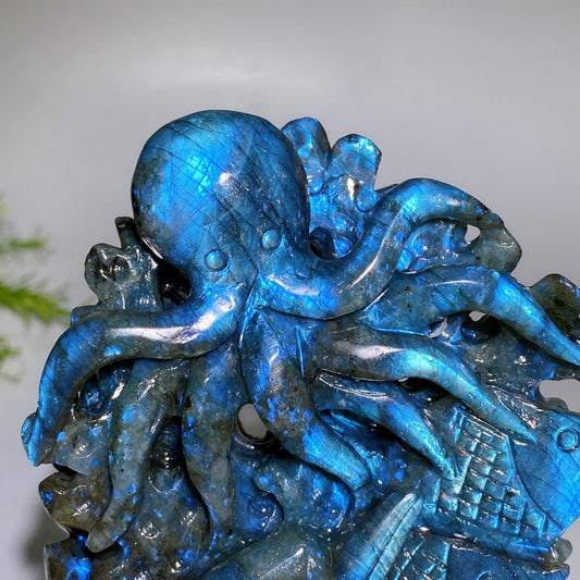 14cm Unique Hand Carved Ocecan World with Fish Dolphin Octopus Shell Coral Carving Free Form Crystal Healing Bulk Wholesale