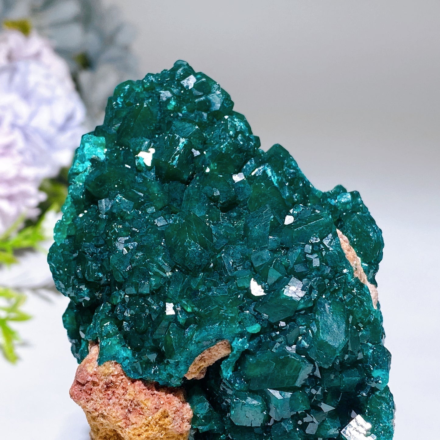 Unique Dipotase from Namibia Specimen Crystal Healing Bulk Wholesale